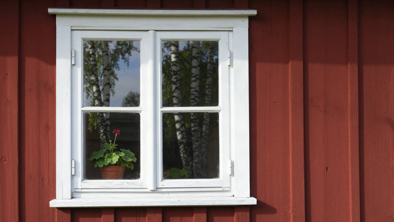 Ett putsat fönster på en röd timmerstuga en sommarmorgon, med en pelargon innanför rutan.